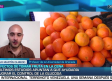 Entrevista a Juanjo Martín Olmedo