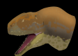 Hallan 40 dientes en Algora que permiten reescribir la ruta de los dinosaurios en el hemisferio norte