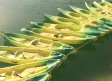 Practicamos con los kayaks en el embalse de la Fuensanta, en Yeste