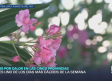 Previsión del tiempo - 01/07/2026