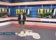 La baza de los vinos ecológicos - 01/07/2026