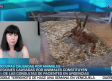 Entrevista a Encarnación Carreño -2/7/2026