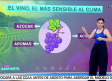 ¿El cambio climático podría afectar a la calidad de nuestros alimentos?