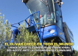 El olivar crece en todo el mundo - 02/07/2026