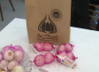 Las altas temperaturas de junio han adelantado la campaña del ajo morado