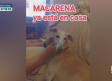 La increíble historia de Macarena y Amparanimals