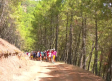 "Camino abierto" el campamento itinerante de la diócesis de Sigüenza
