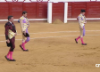Toros desde Manzanares (11/07/2026)