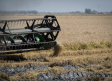 Desarrollo Sostenible publicará dos IPP de incendios diarios para optimizar los trabajos agrícolas