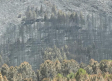 Un convoy recorre la zona asegurada de los incendios en la provincia de Guadalajara