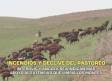 Incendios y declive del pastoreo - 23/07/2026