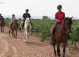Paseos a caballo entre viñedos