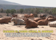El campo - 27/07/2026