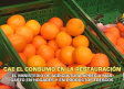 El campo - 30/07/2026