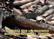 El día En Titulares - 31/7/2026