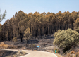 Controlado el incendio de La Mierla (Guadalajara)
