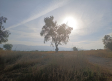 Temperaturas por debajo de los 36º en Castilla-La Mancha, en aviso amarillo en Almansa y Hellín por calor