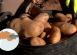 Recogemos patatas en La Cañada, una explotación de Sonseca