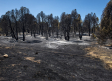 Extinguido el incendio forestal de Almorox