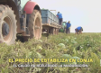 El campo - 06/08/2026