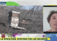 La apicultura. Afectada por los incendios