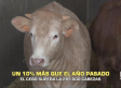 El campo - 07/08/2026
