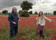 El camino de la garnacha mentridana
