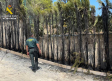 Rescatan en Socovos a una mujer y a sus mascotas, atrapadas en su casa por un incendio