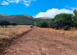 Cerrados al tráfico los caminos y las pistas forestales de Cuenca y Guadalajara por el eclipse
