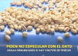 Piden no especular con los datos en la campaña del pistacho- 12/08/2026