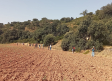 Drones de la Guardia Civil se unen al dispositivo de búsqueda de Margarita en Palomares del Campo