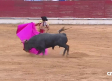 Novillada mixta desde Sigüenza (15/08/2026)