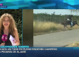 Se escapa un toro de los encierros de Aljubé, pedanía de Tobarra (Albacete)