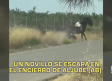 Castilla-La Mancha a las 2 - 17/08/2026