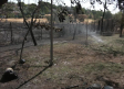 Se evalúan los daños por el incendio forestal de Galápagos (Guadalajara)