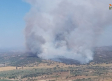 Estabilizado el incendio de Aldea del Fresno (Madrid)