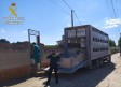 Ordenan el sacrificio de 28 ovejas en Ruidera (Ciudad Real) por incumplir la normativa de sanidad animal