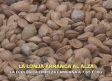 La lonja de la almendra arranca al alza - 21/08/2026