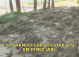 Castilla-La Mancha a las 8 - 21/08/2026