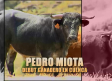 Tiempo de toros (22/08/2026)
