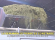 La demanda de pienso es constante - 24/08/2026