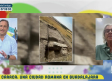 Caraca. Una ciudad romana en Guadalajara