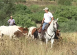 Encierro tradicional seguido de fiesta del agua en Abejuela