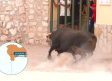 Vivimos de cerca los encierros de Lupiana