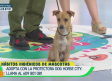 Hábitos higiénicos de mascotas