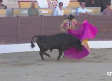 Novillada sin picadores desde Borox (Toledo)