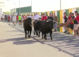 Comienzan los encierros en Villaseca de la Sagra