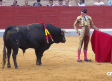 Novillada desde Villaseca de la Sagra (04/05/2026)