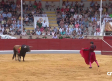 Novillada desde Villaseca de la Sagra (05/09/2026)