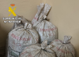 Detenidas 5 personas acusadas de 13 hurtos con los que se apropiaron de 15.000 kilos de aceituna